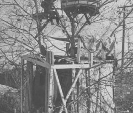 Treehouse 1967
