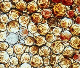 "Rosebud" 1978